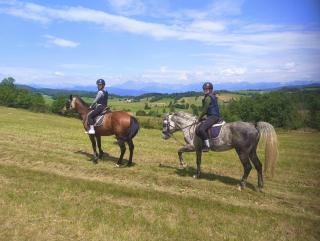 We rent a nice cozy house in a pleasant nature - 6