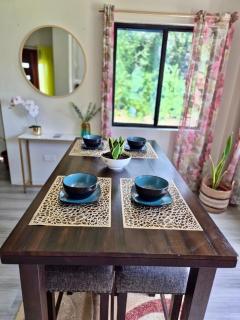 Beach, Falls,Pitons, Mud Bath- Zephyr-Villa La Soufriere - 2