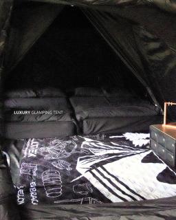 Pakis Camping Cikole - 1