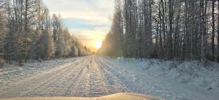 Arctic Forest Hide - Nature & Silence - 6