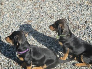 Ospitalità rurale La Svizzera - 7