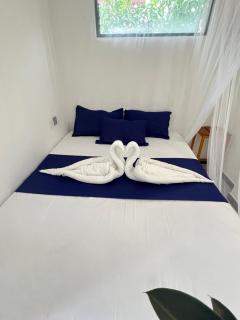 Monstera Haven Hiriketiya - 6