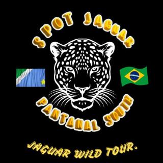 Spot Jaguar Pantanal South Lodgen wild Jaguar Tour - 0
