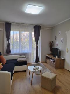 Cozy Apartment 1 BR Free parking Free wifi - 0