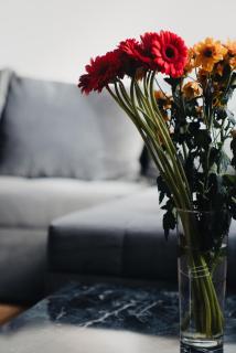 Modernes Penthouse mit Panorama im Herzen von Villingen - 2