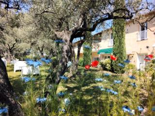 La Picholine en Provence - 0