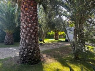 MAISON à 100 METRES DE LA PLAGE - Pléneuf-Val-André - 8