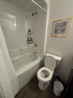 Chic 2BR Urban Retreat In The Heart Of Waterloo - 4