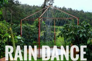 Veeras Western Sparrow Homestay - 5