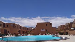 Flower of BAHIA SOL - 8