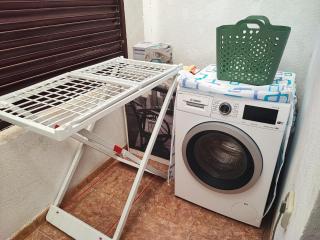 Flower of BAHIA SOL - 4