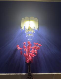 Greece vibes-flat, serviced apartment, private and cozy space space in Delhi and NCR - 2