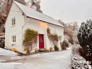 Pretty Dartmoor Cottage in woodland-setting - 0