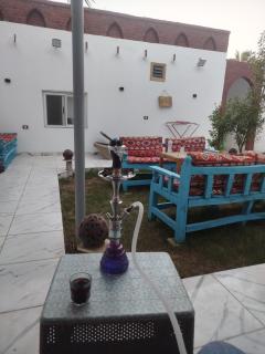 Dolphin guest house - 9