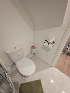 Studio Flat Peckham Rye London Apartment Zone 2 Location - 9