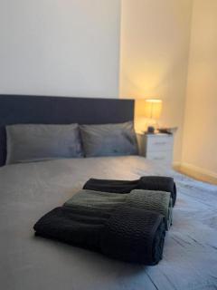 Superb flat near Victoria station - 5