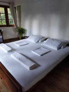 Forest Avenue - Kurunegala - 7