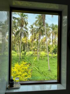 Forest Avenue - Kurunegala - 6