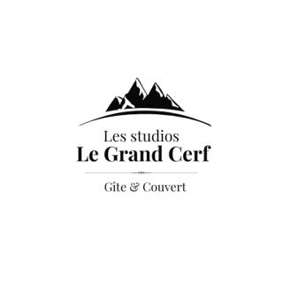 Studios Le Grand Cerf-Montclar et vallée de l'Ubaye - 8