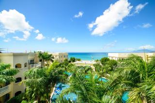 The Hamilton Beach Villas & Spa - Nevis - 0