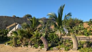 La Window Glamping - 3