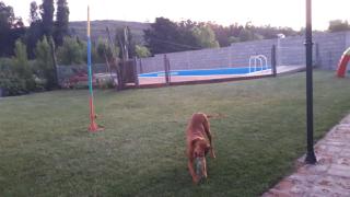 Quinta a las Sierras - 4