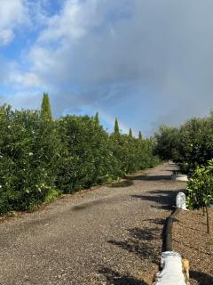 Casa Chica Boutique - 8