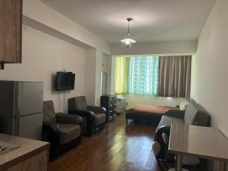 Holiday Inn Bakuriani - 8