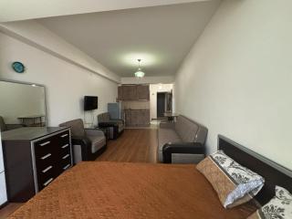 Holiday Inn Bakuriani - 6