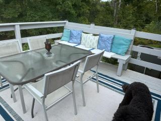 Blue Hole at Pigeon Mtn Wildlife Mgmt Area - 8