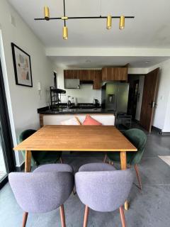 2Bed 2Bath Penthouse with Private Rooftop and balcony - 3