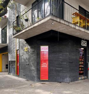 2Bed 2Bath Penthouse with Private Rooftop and balcony - 2