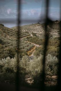 Cortijo La Presa - Priego de Córdoba - 3