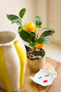 the mirrorbubble - 4