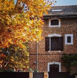 Studios MISTRAL21 en Camargue - 6