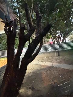 Cocoa Home Women Only Rooms Chapalita - 8