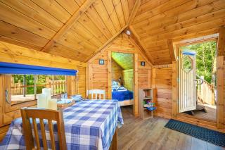 Bluebell Cabin & Hot tub - 6