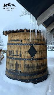 Spiky hill resort - 4