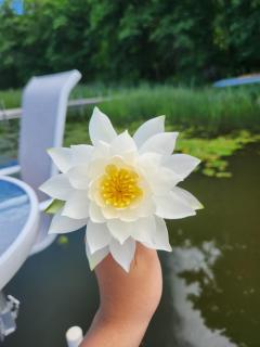 Lakefront Cabin with Loft and Bar - 6