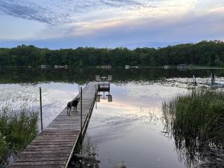 Lakefront Cabin with Loft and Bar - 2