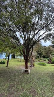 Chalé Rosa Flor - 4