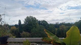 Waterfront apartment - 5