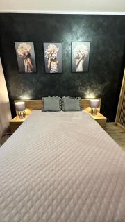 Apartament Kossaka - 0