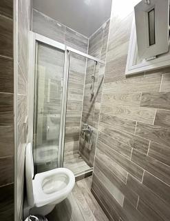 Lion Apart Hotel Taxim - 8