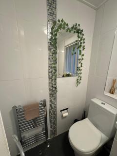 Central cosy stay - barrowlands and Glasgow green - 2