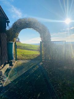 Ferienwohnung Am Steinberg - 1