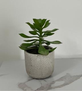 Margam's Gloucester House for Business Travellers - 2