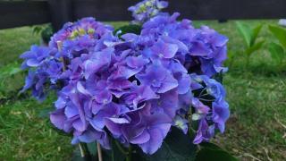 Sielsko Anielsko Uniejów- domki całoroczne - 6