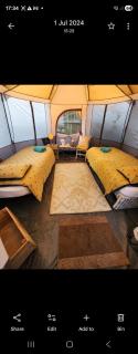 3 GLAMPING TENTs - 5