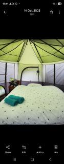 3 GLAMPING TENTs - 1